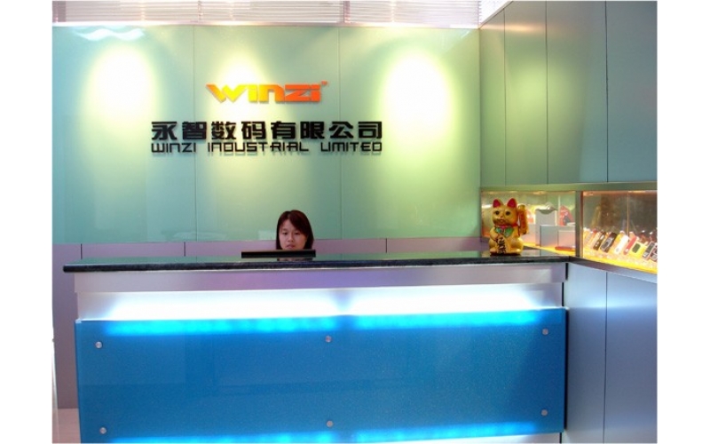 公司組織結(jié)構(gòu)圖，深圳市模具廠的最初結(jié)構(gòu)