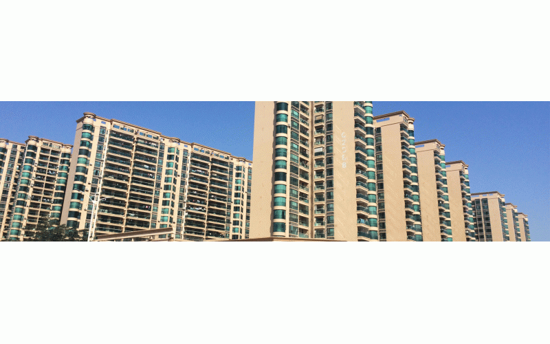 深圳的冬天終于來(lái)了，2015